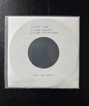 2 testplader - Hubbi Styr Musikken og Hubbi New Year